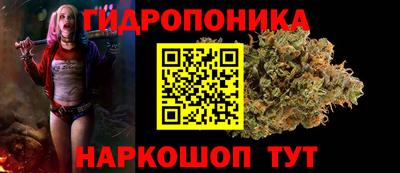 крисы Лесосибирск
